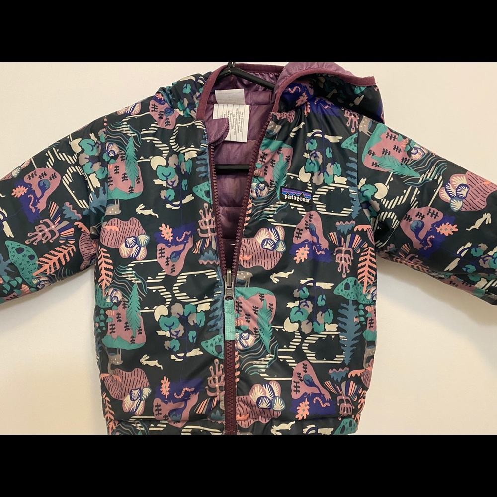Patagonia Baby Reversible Down Sweater Hoody - 2T